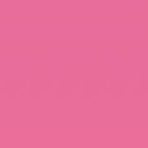 Meet your Posher, Ava